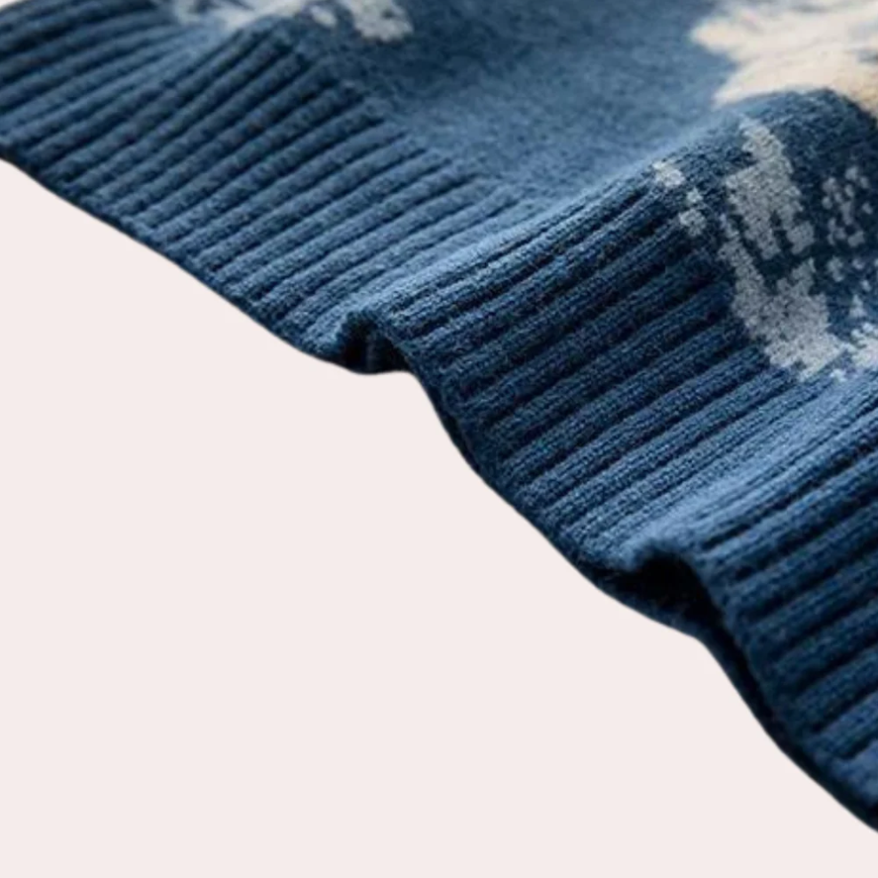 Godelief - sweater til mænd med et markant bjergprint